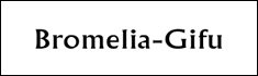 ブロメリア・ギフ　日本唯一のポールセンローズ増殖許可認定生産者
